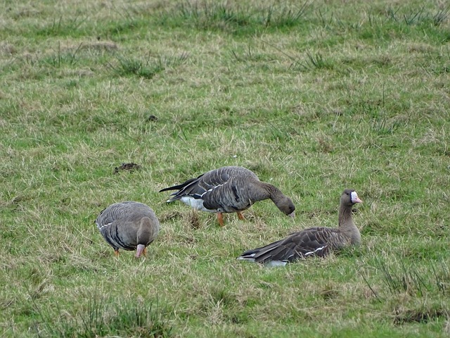 初就被寄予 初就被寄予