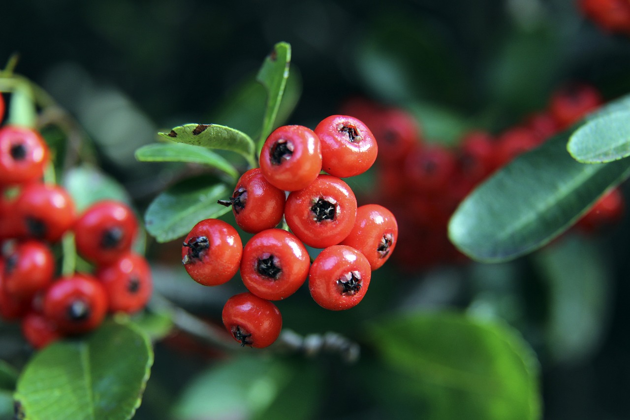 球员身价经 球员身价经