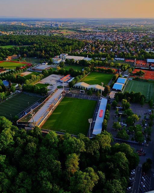 也能帮助球 也能帮助球